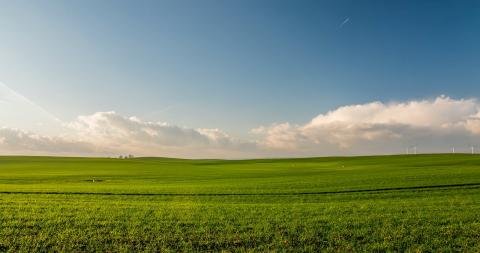 Field and sky